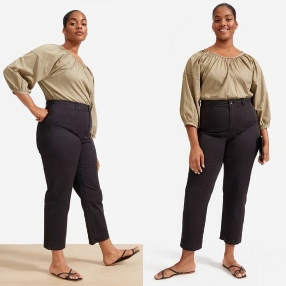 NWT Everlane The Straight Leg Crop Chino Pant 4 Washed Black Brushed Cotton